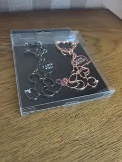 新品TOKYO DISNEY RESORT ミッキー＆ミニーペアキーチェーン