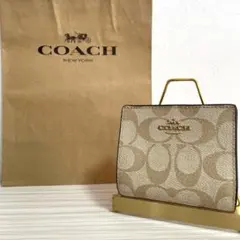 Item thumbnail for item 7d66a528-acff-454c-9709-1f64166cc8ec