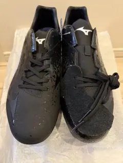 Item thumbnail for item 8f417879-0597-4d67-885b-2886cfce72d1