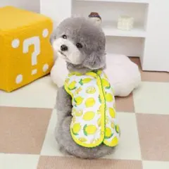 レモン柄 犬服　背中開き　春秋用　Ｌサイズ