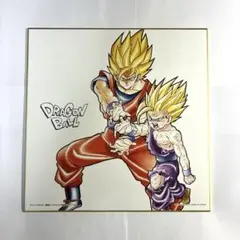 ドラゴンボール　孫悟空　孫悟飯　親子かめはめ波　色紙　サイヤ人ここに極まれり　②