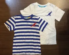 hakka kids ハッカキッズ Tシャツ 2枚セット 恐竜 ボーダー 120