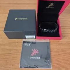定価16万円ほど。COREFORCE ループ テラCFL 70cmのサムネイル