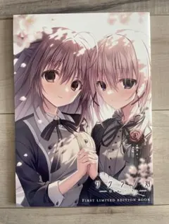 Item thumbnail for item 4c4be7a0-9a3f-4e52-a96c-258769550be9