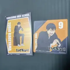 ハイキュー!! 影山飛雄 カード まねきねこ