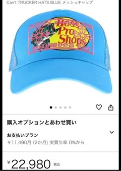 Item thumbnail for item 515262cd-3d15-4fcd-944a-981d2974554e