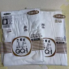 ダンゼ 長ズボン下 GQ3002 LA(2枚)