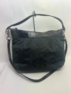 Item thumbnail for item f59511c4-9270-4923-a49f-bf3ba1aebc51