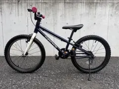 直接引渡し】ヨツバサイクル20インチ ネイビー×ホワイト 2020年購入