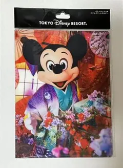 ミッキー　ミニー　イマジニングザマジック　ポストカード