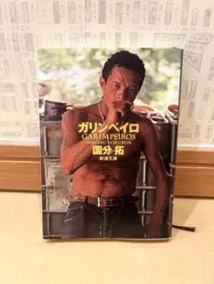 ガリンペイロ