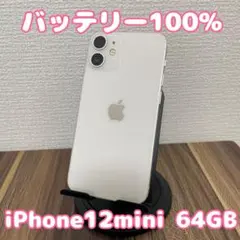 【バッテリー100%】 iPhone12mini 256GB