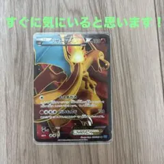 リザードンex sr xy