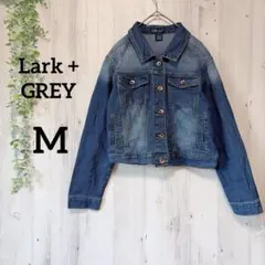 Item thumbnail for item a3810907-f1f6-4590-8b87-fbd17df02c4d