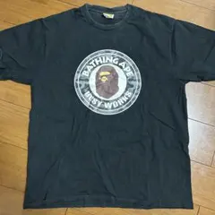 Item thumbnail for item 5228b90e-fac4-4783-839c-8e9d2e3458db