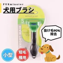 Item thumbnail for item bfe28c2b-f00f-4f3b-84e2-4cebf9b08988