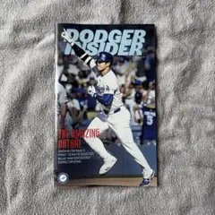 Item thumbnail for item d2f52c5f-0c8e-45c5-9208-3c39ba7824c5