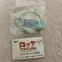 ロッテ　チウインガム　ワイヤーキーリング　マスカット