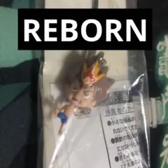 激レア　家庭教師ヒットマンREBORN! 沢田綱吉 マスコット　ストラップ