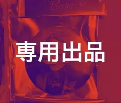 専用出品