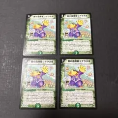 森の指揮官コアラ大佐4枚