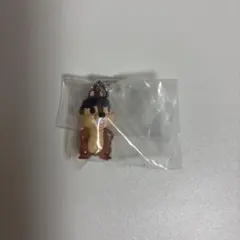 ディズニーキャラクター チップ めじるしアクセサリー summer