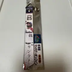 ヤクルトスワローズ サンタナ選手 ボンフィン