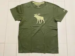 abercrombie トナカイ刺繍 Tシャツ M
