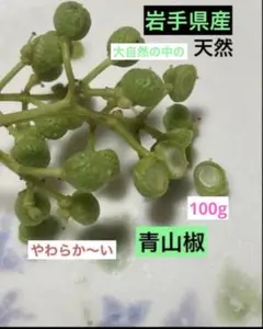 2026年最新】花山椒 100gの人気アイテム - メルカリ
