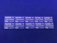 C320 SanDisk Memory Stick PRO Duo1GB 10枚