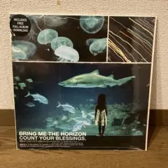 2025年最新】bring me the horizon レコードの人気アイテム