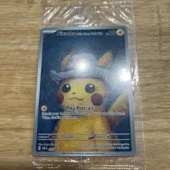 Pikachu with Gray Fish Hat