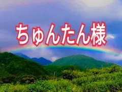 ラピス様 中熟・完熟 南高梅 白加賀梅 20kg - メルカリ