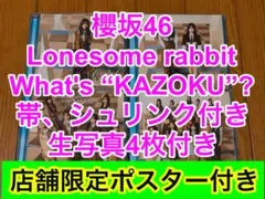櫻坂46 Lonesome rabbit What's “KAZOKU” 19のサムネイル