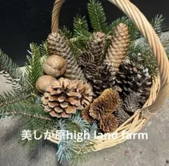 2026年最新】スギぼっくりの人気アイテム - メルカリ