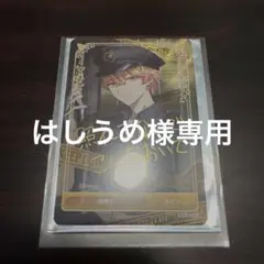 はしうめ様専用ページ