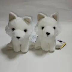 2026年最新】もふっとオオカミの人気アイテム - メルカリ