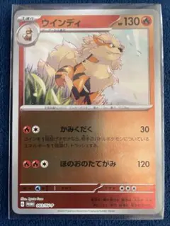 ウインディ　プロモ