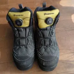 Item thumbnail for item 98bfd029-d749-4504-9e30-b2805b5226a2