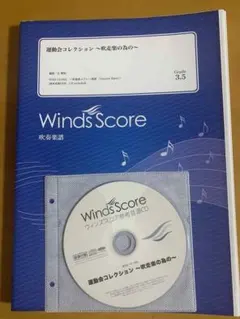 Item thumbnail for item c660d66a-4442-4ce8-9b15-278782c6ceda