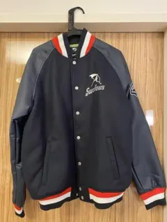 ヤクルトスワローズ スタジャン