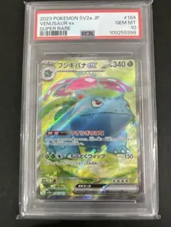 2026年最新】フシギバナ SR SV2a 184/165 PSA10の人気アイテム - メルカリ