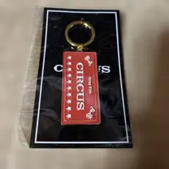 straykids circus キーホルダー スキズ