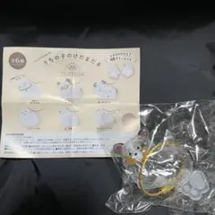 うちの子のけだまだま　トライカラーチワワ　未使用品