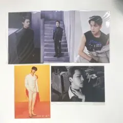 ディノ　ポストカード