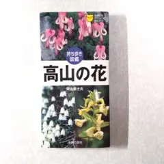 Item thumbnail for item 00d32037-c05f-4bf1-ab7e-f36d9be48aa3