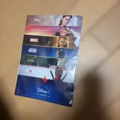 Disney+ キャラクタークリアファイル