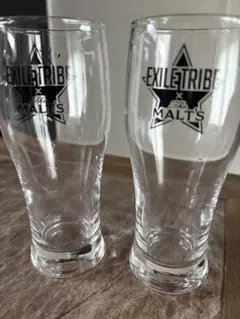 エグザイル　トライブ　プレモル　サイン　コップ 2025年最新】モルツ タンブラー エグザイルの人気アイテム