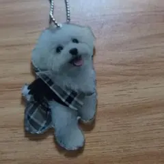 新品未使用で可愛い犬のイラスト付きアクリルキーホルダー