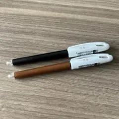 ぺんてるボールペン 0.5mm エムディーエス　2本